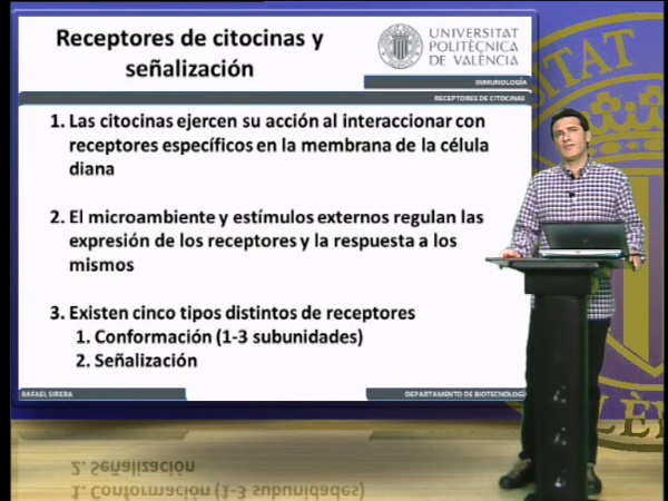Receptores de citocinas, clasificación