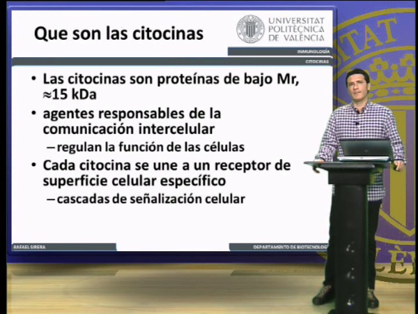 Citocinas, clasificación