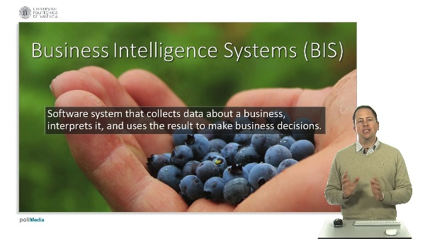 Office and Enterprise Systems. Business Intelligence System