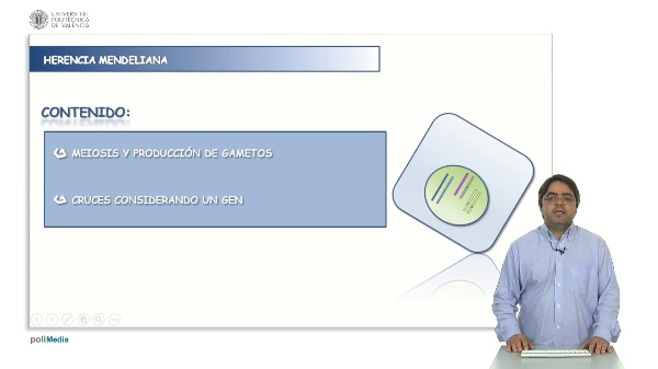 Mendelian inheritance: one gene