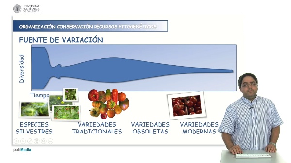 Organization of the conservation of plant genetic resources