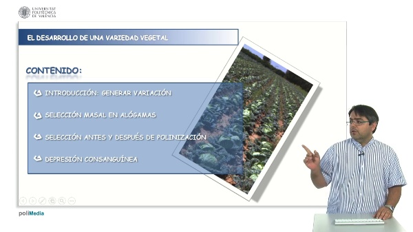 Mass selection in cross-pollinating species