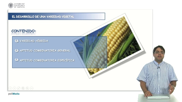 Development of hybrid varieties: combining ability calculation