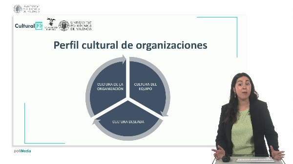 La cultura de la organización