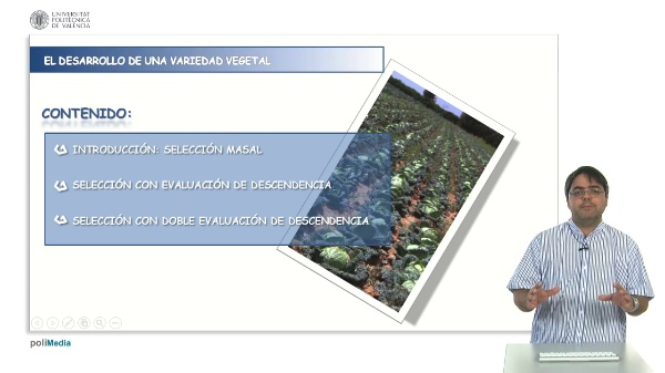 Progeny testing selection in cross-pollinating species