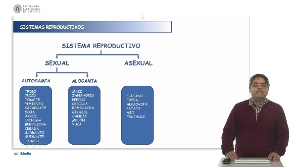 Reproductive systems in plants: self-pollination (autogamy), cross-pollination (allogamy), and vegetative reproduction