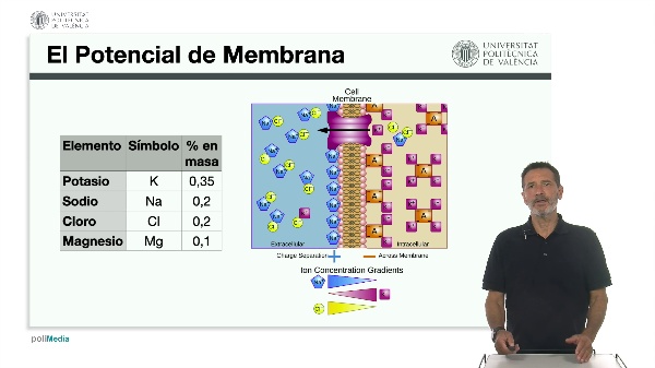 Elementos menores: Sodio, Potasio, Cloro y Magnesio