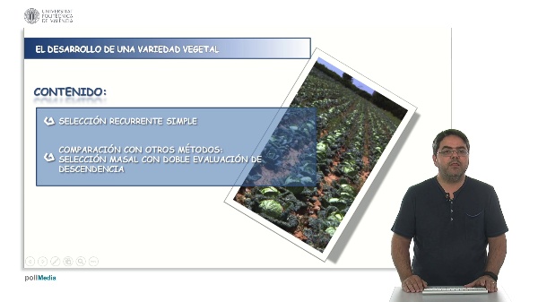 Simple recurrent selection