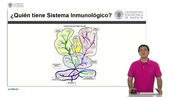 Filogenia de Sistema Inmune