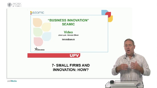 Business Innovation: Small Firms And Innovation: How?
