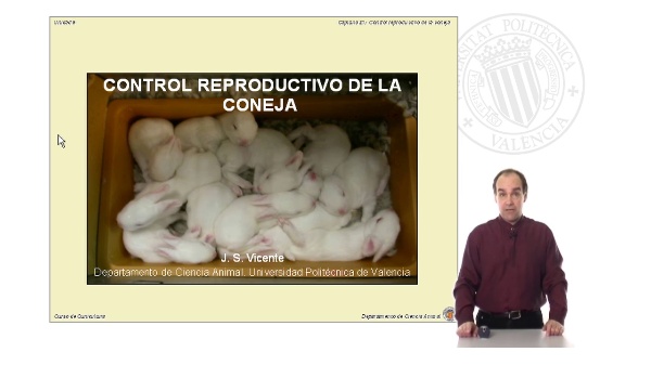 Control reproductivo de la coneja (Parte 1)