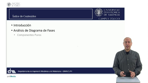 An�lisis de diagramas de fase. Identificaci�n y caracterizaci�n de fases, componentes y transformaciones isot�rmicas