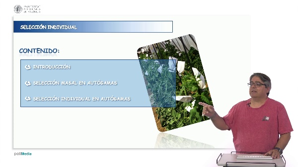 Individual selection: genealogical or pedigree method