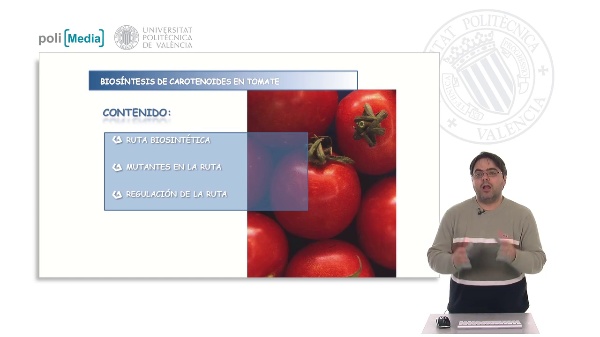 Biosíntesis de carotenoides en tomate
