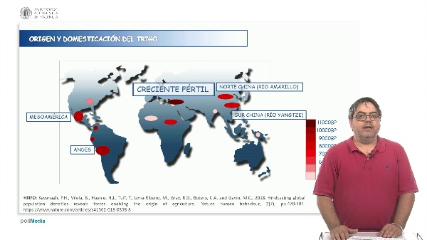 The origin and domestication of wheat