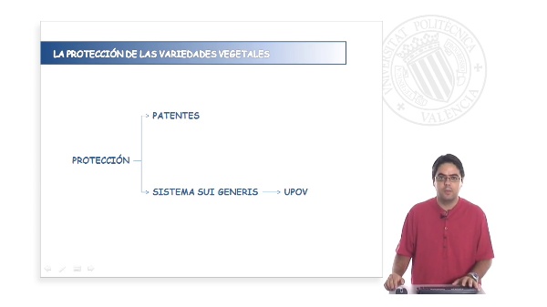 Plant variety protection in Spain