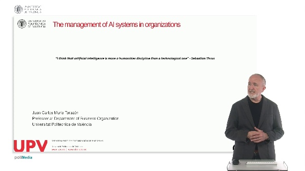 The management of AI systems in organizations