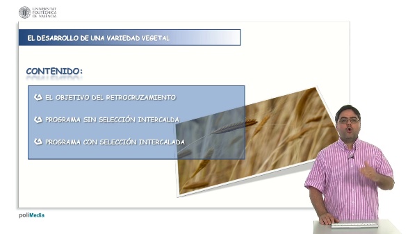 Backcrossing with a recessive gene