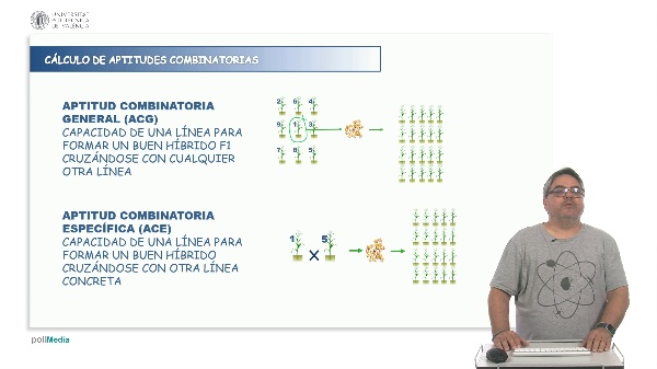 Significaci�n de las aptitudes combinatorias en h�bridos (Nivel avanzado)