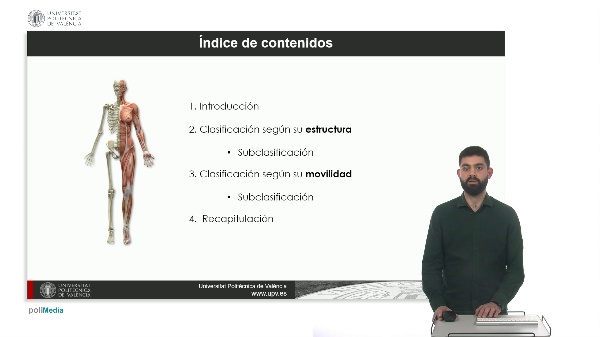 Explorando las articulaciones: estructura y movilidad