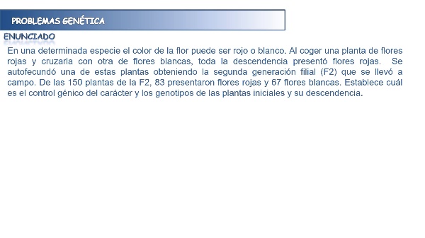 Genetics problems: double epistasis