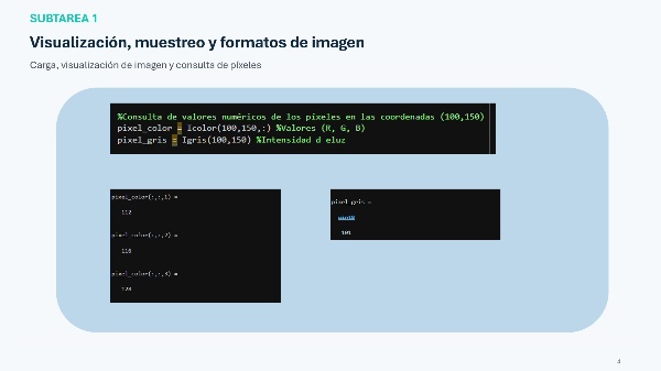 Defensa_TAREA_II