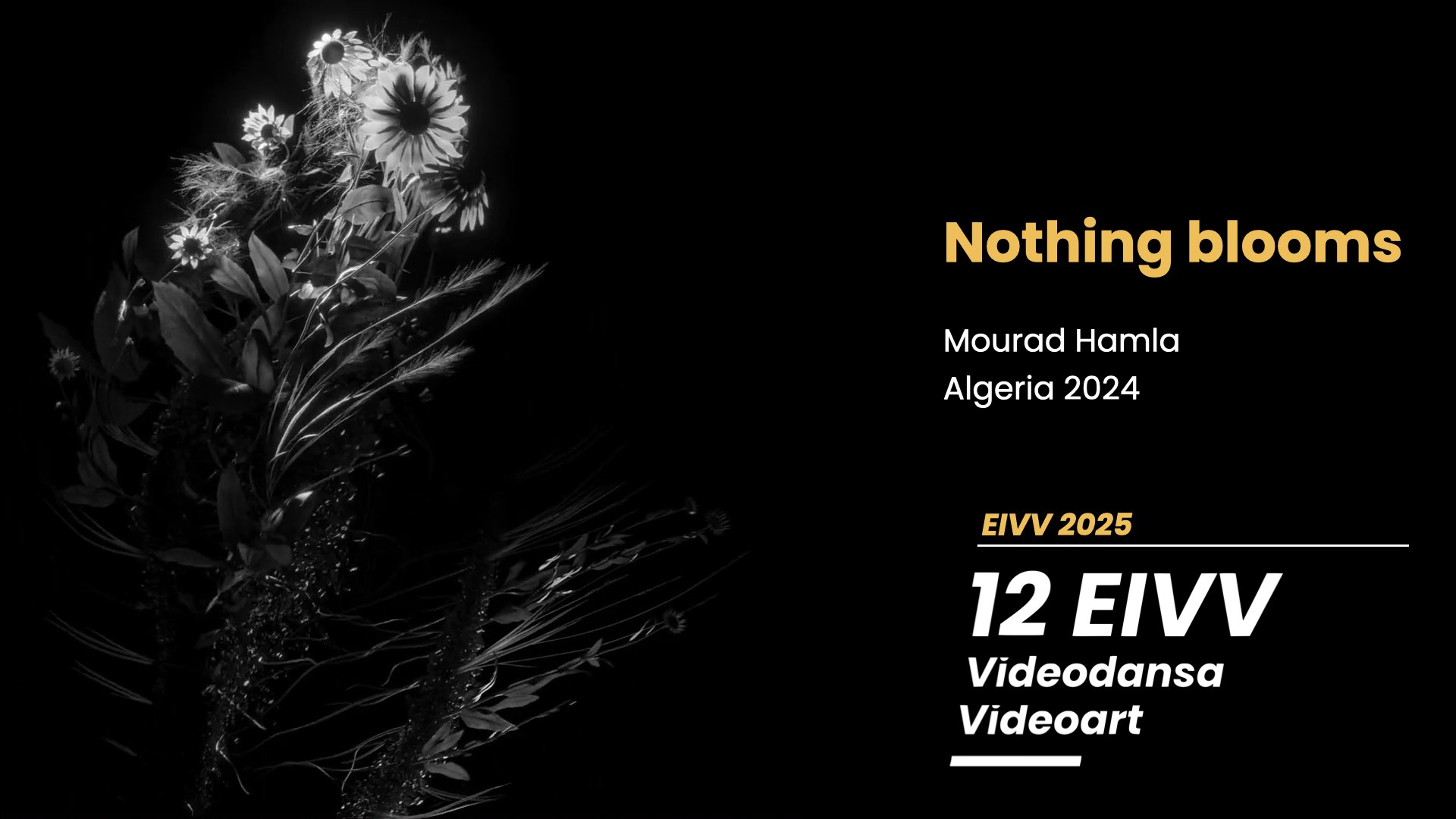 Nothing Blooms - Mourad Hamla - 12 EIVV