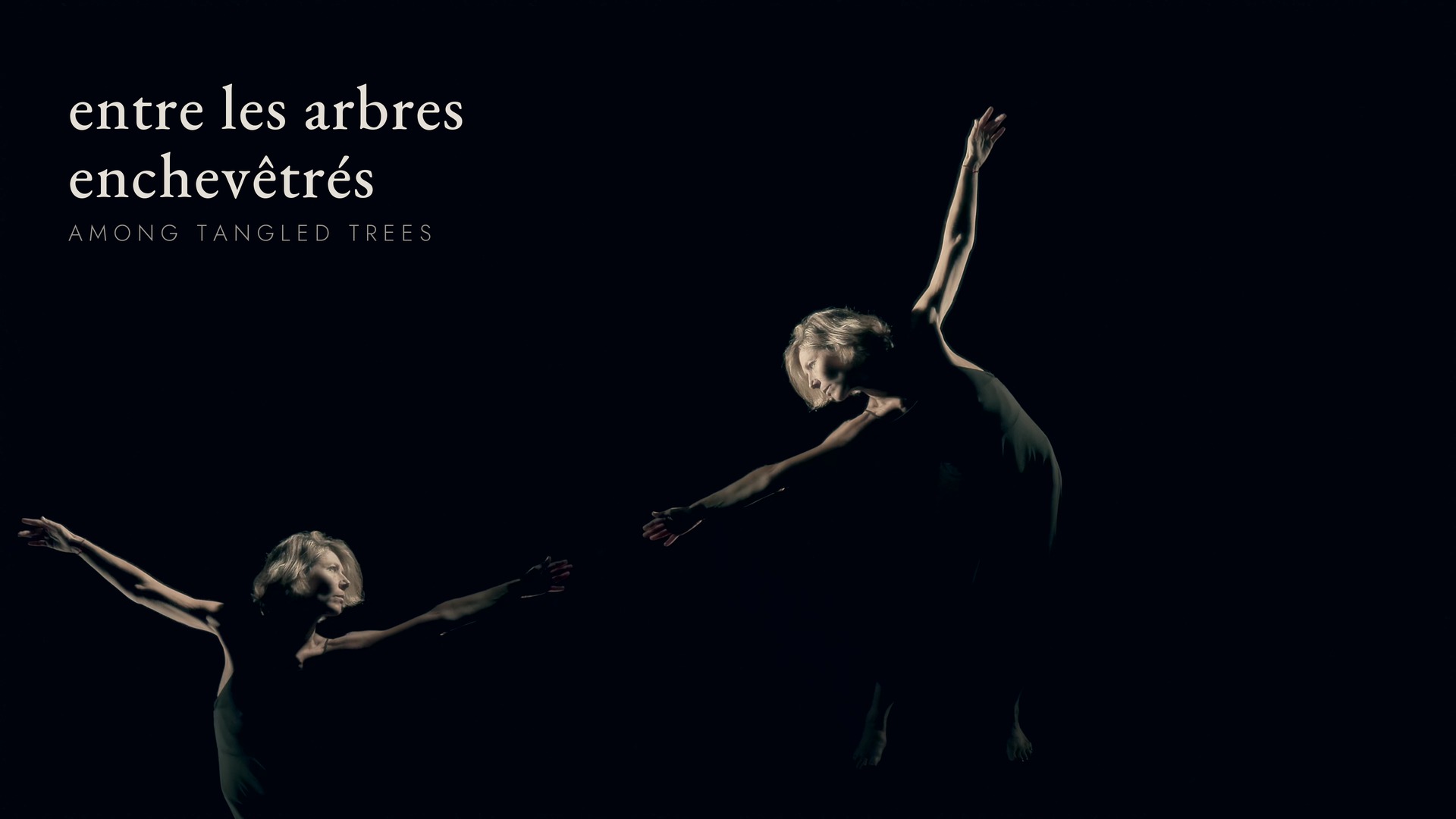 Entre les arbres enchev�tr�s