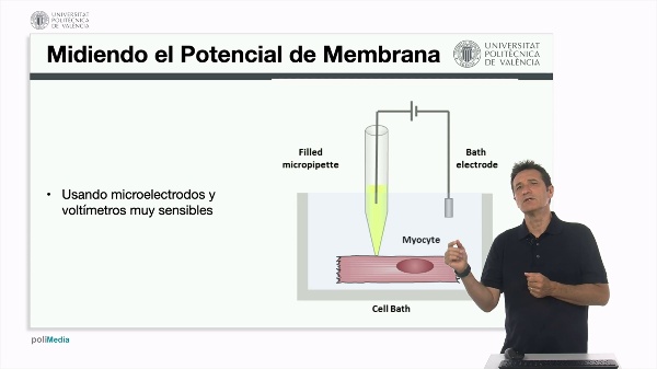 Potencial de membrana