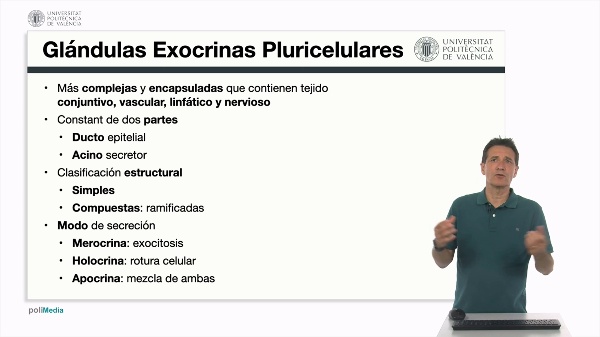 Glndulas pluricelulares, clasificacin estructural y modo de secrecin