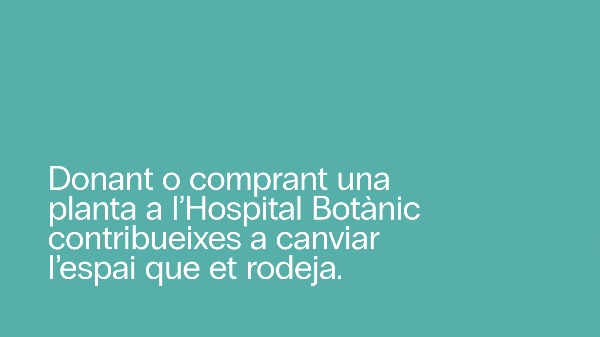 Transversal4_grupo2_Hospital Botnic
