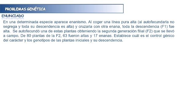 Genetic problems: a gene