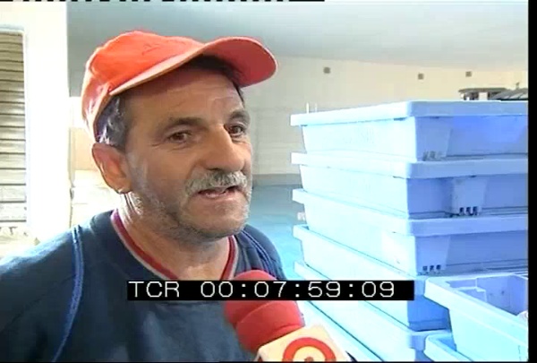 Montaje Notícia Canal 9, Edición de Vídeo.