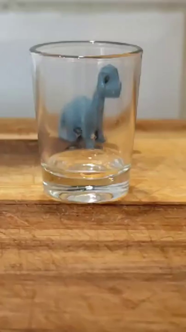 Inversi�n de la imagen con un vaso de agua