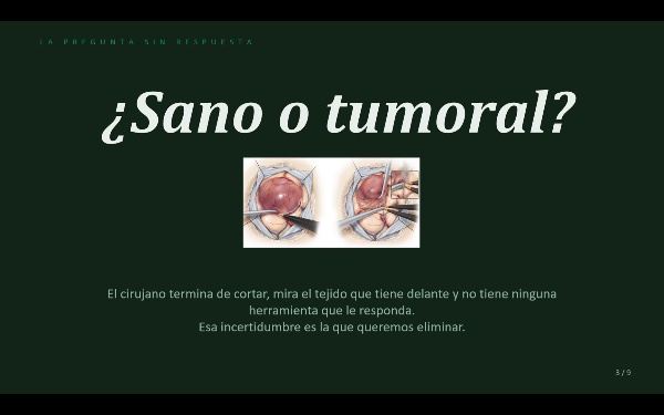 ClearMargin. Plan de Emprendimiento