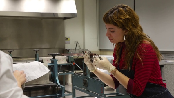 Procesos de grabado: calcografa y xilografa