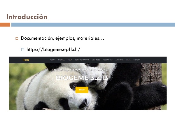 Modelos de Elecci�n Discreta con Biogeme. Caso pr�ctico.