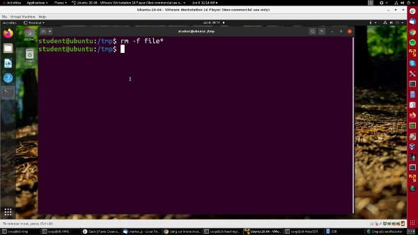 Introducción a Linux. M13. Uso de cat