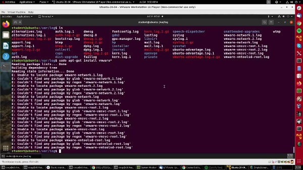Introducción a Linux. M7. Uso de comodines para buscar archivos