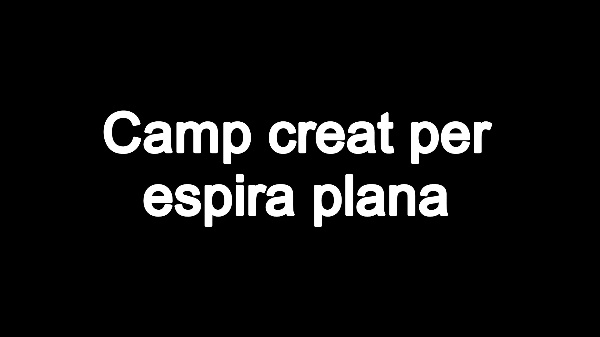 T4E: Camp creat per espira plana V