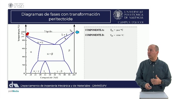 M5.U3.2_Peritectoide C solubilidad An�lisis