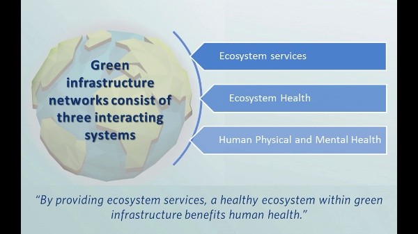 Infraestructura verde, servicios de ecosistema
