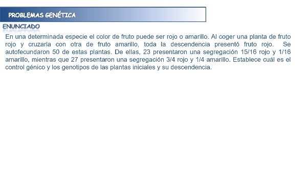 Genetics problems: two genes