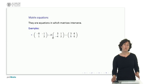 Matrix equations