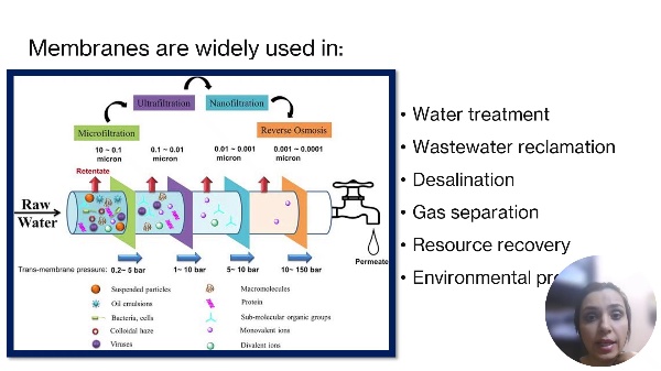 Fabrication and Modification of Hydrophobic and Hydrophilic Synthetic Membranes for Environmental Applications